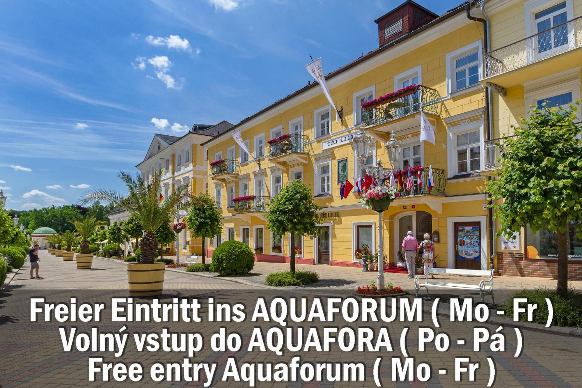 Hotel Three Lilies Inkl Aquaforum Frantiskovy Lazne Exterior photo